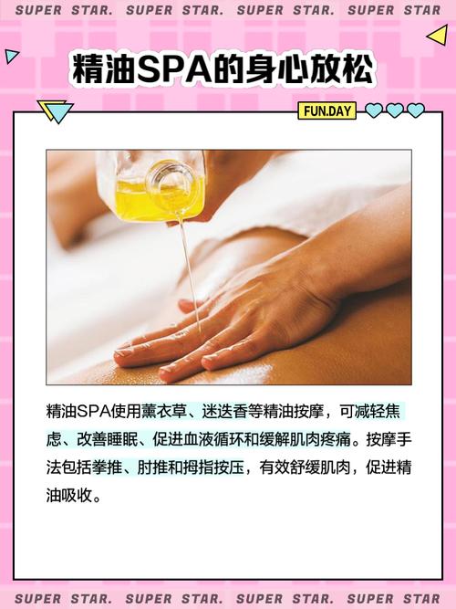 美女老师完整版的相关介绍