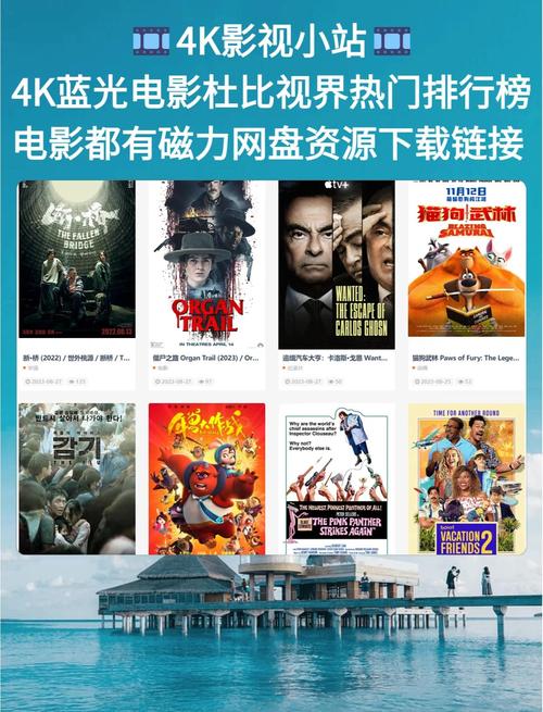 网址视频下载app的相关介绍