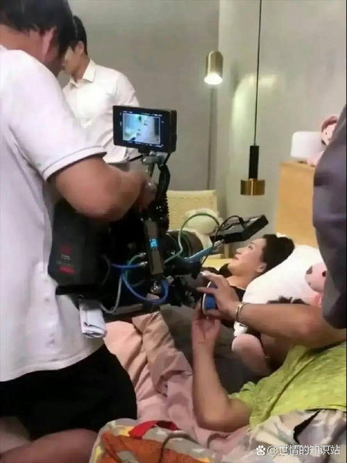 夫妻房事毛片的相关介绍