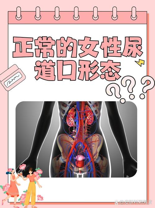 动漫美女诱惑男主的相关介绍